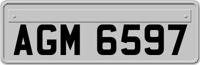 AGM6597