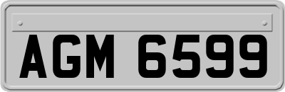 AGM6599