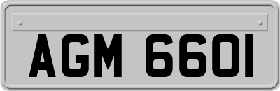 AGM6601