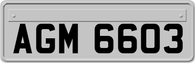 AGM6603