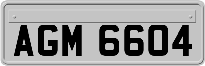 AGM6604