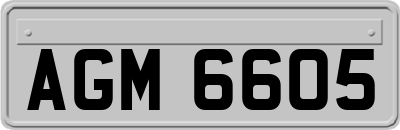 AGM6605