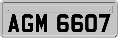 AGM6607