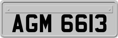 AGM6613