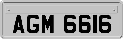 AGM6616