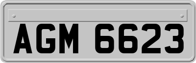 AGM6623