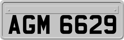 AGM6629