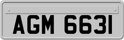 AGM6631