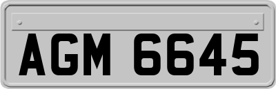 AGM6645