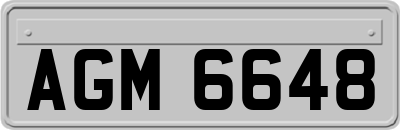 AGM6648