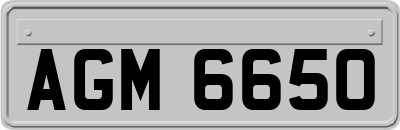 AGM6650