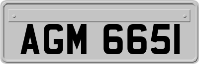 AGM6651