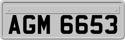 AGM6653