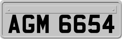 AGM6654