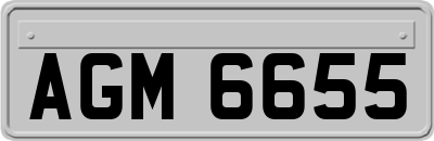 AGM6655