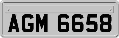 AGM6658