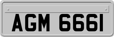 AGM6661
