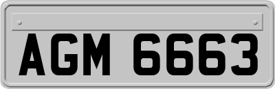 AGM6663