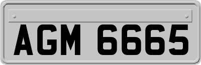 AGM6665