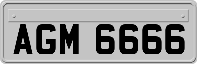 AGM6666
