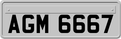 AGM6667