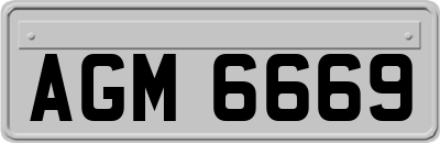 AGM6669