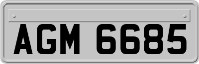 AGM6685