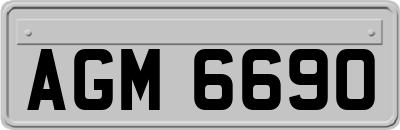 AGM6690