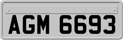 AGM6693
