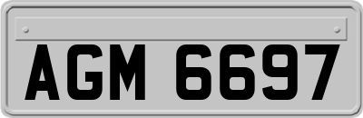 AGM6697
