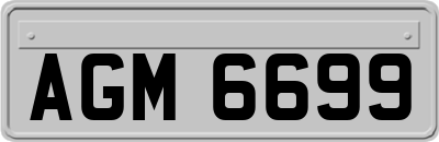AGM6699