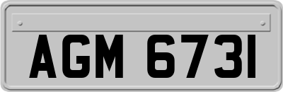 AGM6731