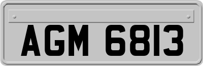 AGM6813