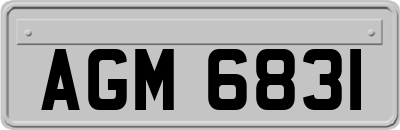 AGM6831