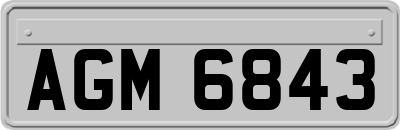 AGM6843