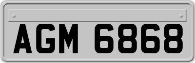 AGM6868