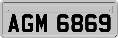 AGM6869