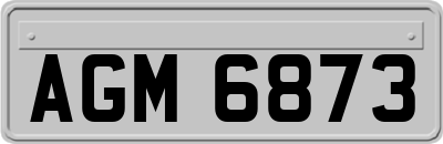 AGM6873