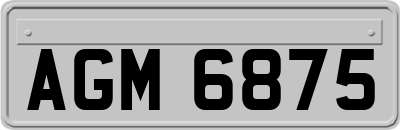 AGM6875