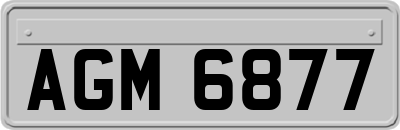 AGM6877