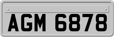 AGM6878