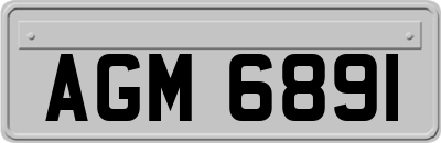 AGM6891