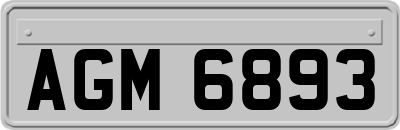 AGM6893