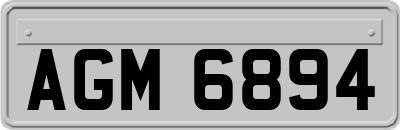 AGM6894