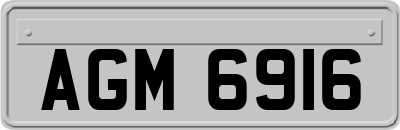 AGM6916