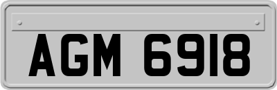AGM6918