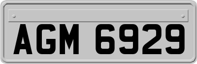 AGM6929