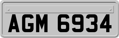 AGM6934