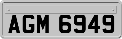 AGM6949