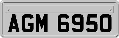 AGM6950